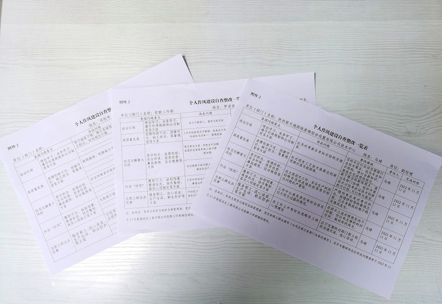 4黨員作風自查自糾，填寫《個人作風建設自查整改一覽表》.jpg