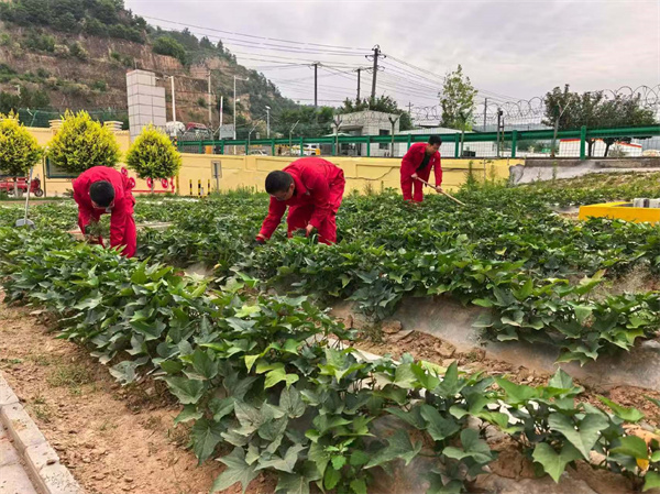 延安環保公司1.jpg